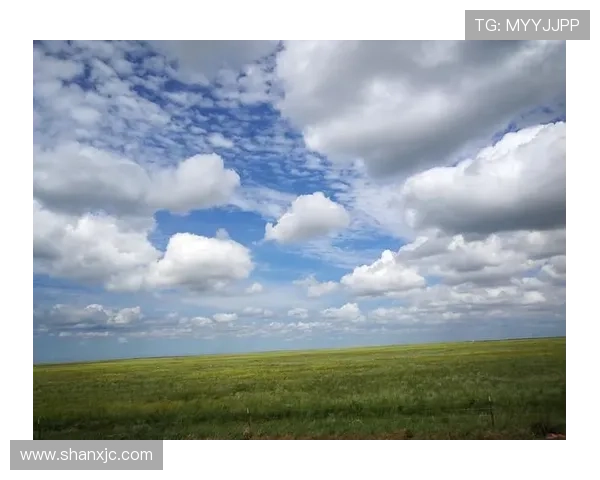 非洲雄狮崛起:揭示大草原背后的王者崛起与生态变革 - 副本 (3) - 副本 - 副本