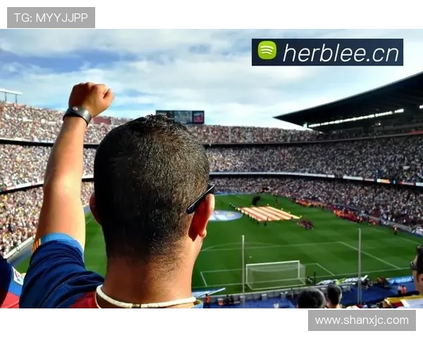 西甲赛事直播频道全程覆盖即时比分和精彩赛事分析